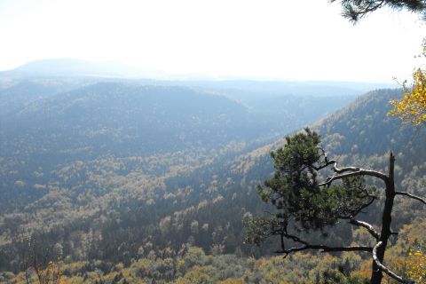 Koruna Broumovské stěny s16 - PTTK Strzelin