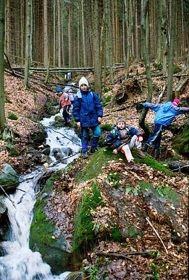 W drodze z Huty do Spalonej