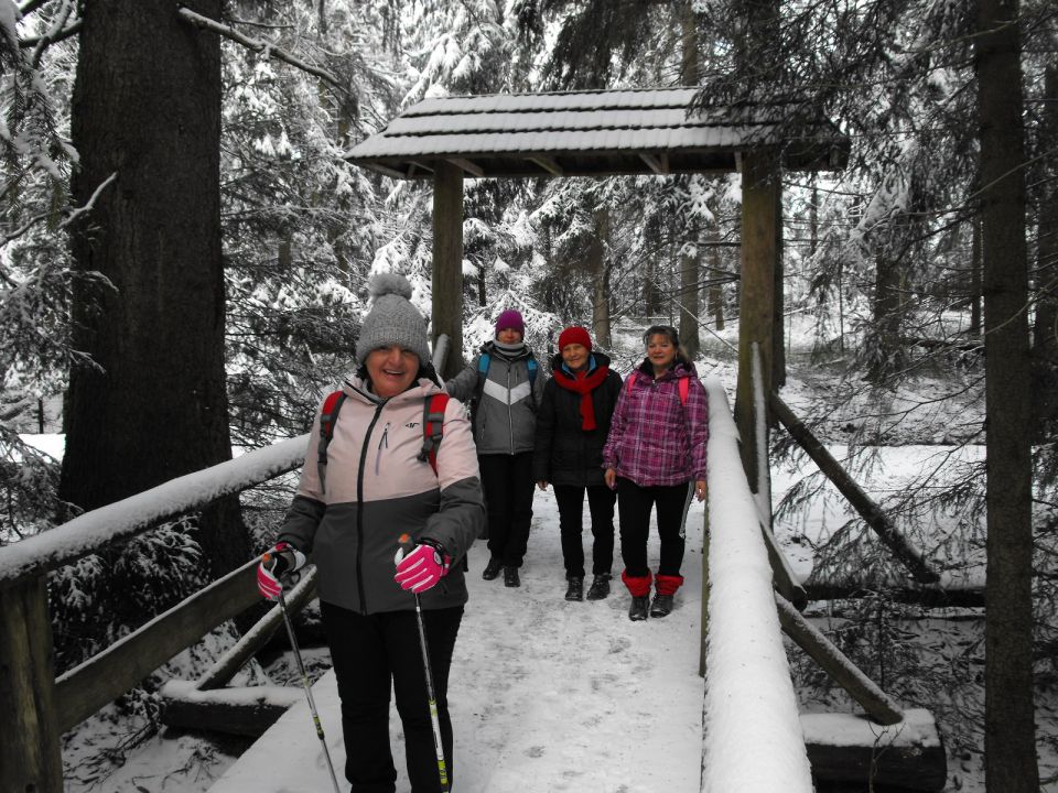 Wycieczka w Góry Bystrzyckie s002 - PTTK Strzelin