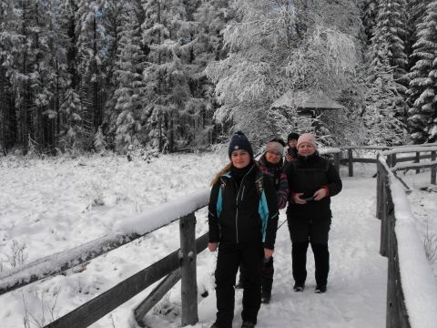 Wycieczka w Góry Bystrzyckie s33 - PTTK Strzelin