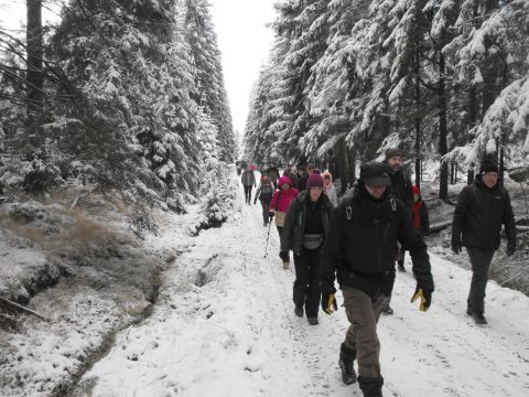 Wycieczka w Góry Bystrzyckie s34 - PTTK Strzelin