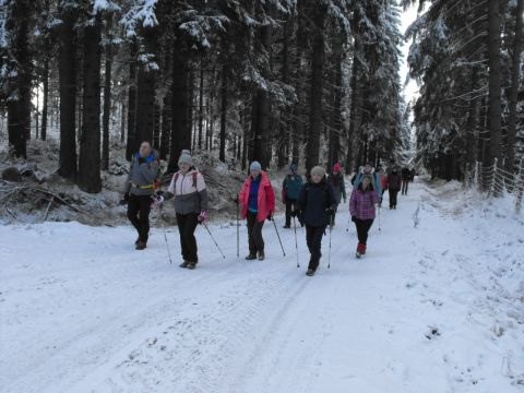 Wycieczka w Góry Bystrzyckie s37 - PTTK Strzelin