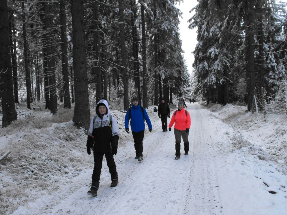 Wycieczka w Góry Bystrzyckie s002 - PTTK Strzelin