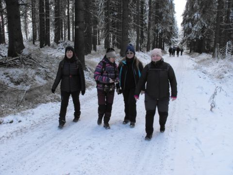 Wycieczka w Góry Bystrzyckie s41 - PTTK Strzelin