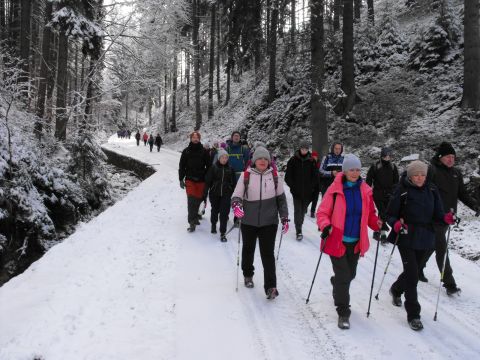 Wycieczka w Góry Bystrzyckie s44 - PTTK Strzelin