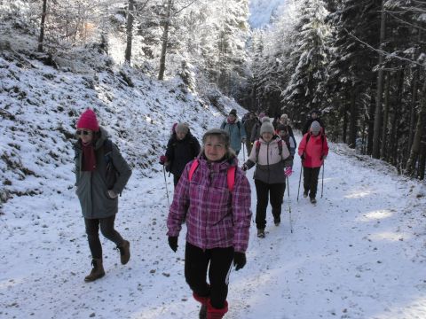 Wycieczka w Góry Bystrzyckie s59 - PTTK Strzelin