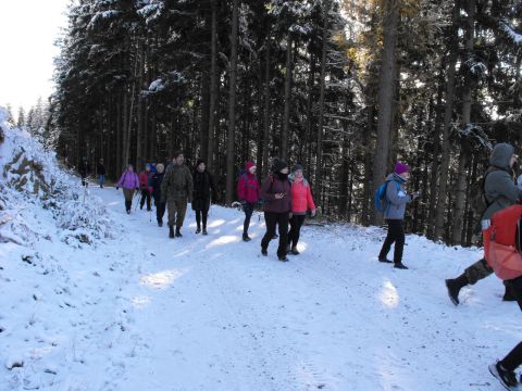 Wycieczka w Góry Bystrzyckie s64 - PTTK Strzelin
