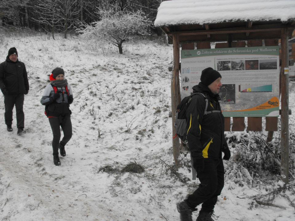 Wycieczka w Góry Bystrzyckie s002 - PTTK Strzelin