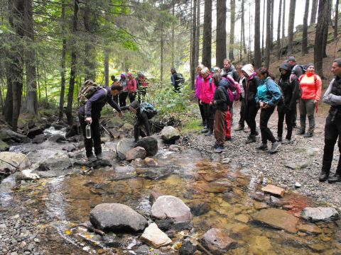 Wycieczka w Góry Bystrzyckie s7 - PTTK Strzelin