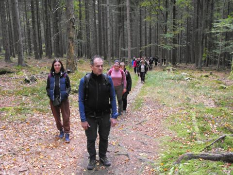 Wycieczka w Góry Bystrzyckie s16 - PTTK Strzelin