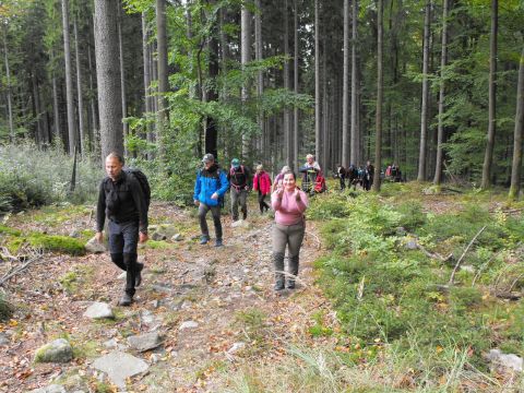 Wycieczka w Góry Bystrzyckie s17 - PTTK Strzelin