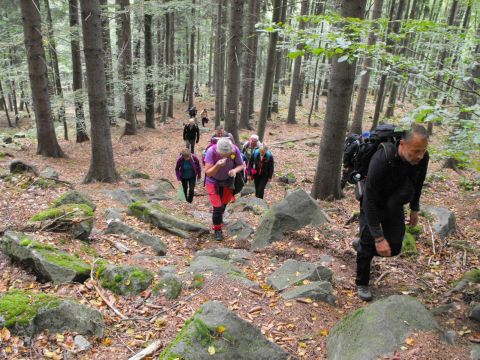 Wycieczka w Góry Bystrzyckie s21 - PTTK Strzelin