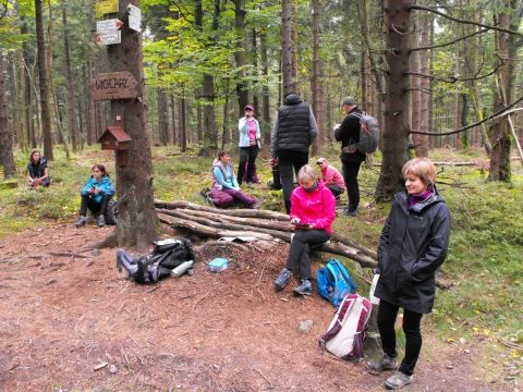 Wycieczka w Góry Bystrzyckie s36 - PTTK Strzelin
