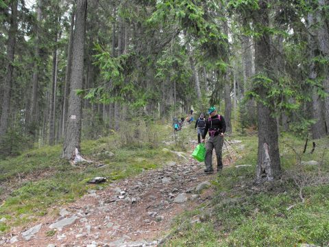 Wycieczka w Góry Bystrzyckie s41 - PTTK Strzelin