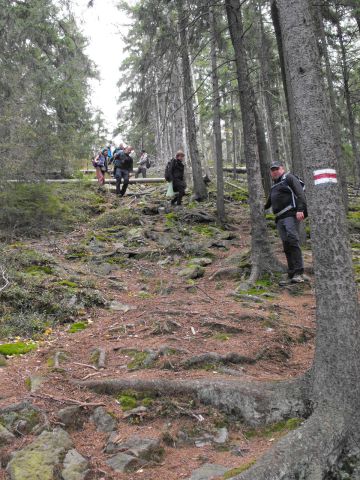 Wycieczka w Góry Bystrzyckie s42 - PTTK Strzelin