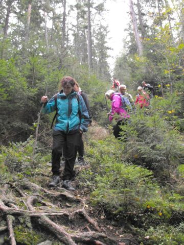 Wycieczka w Góry Bystrzyckie s49 - PTTK Strzelin