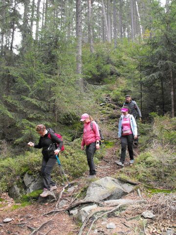 Wycieczka w Góry Bystrzyckie s55 - PTTK Strzelin