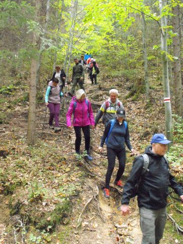 Wycieczka w Góry Bystrzyckie s74 - PTTK Strzelin