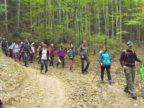 Wycieczka w Góry Bystrzyckie s79 - PTTK Strzelin