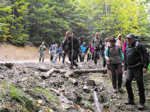 Wycieczka w Góry Bystrzyckie s81 - PTTK Strzelin