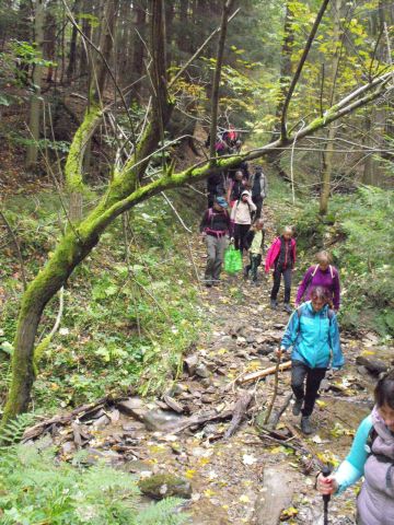 Wycieczka w Góry Bystrzyckie s83 - PTTK Strzelin