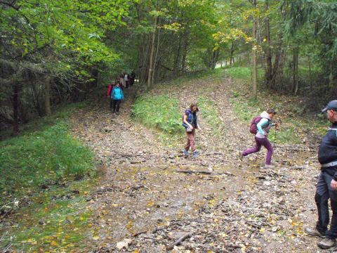 Wycieczka w Góry Bystrzyckie s86 - PTTK Strzelin