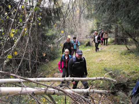 Wycieczka w Góry Bystrzyckie s89 - PTTK Strzelin