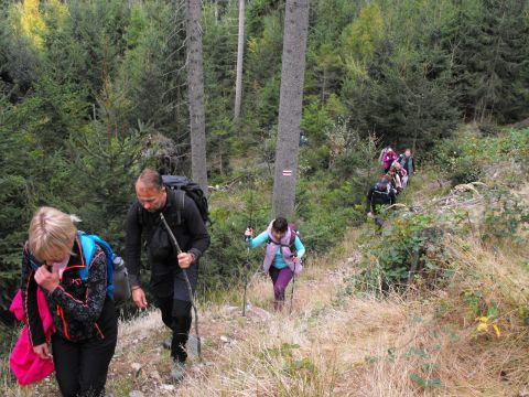 Wycieczka w Góry Bystrzyckie s92 - PTTK Strzelin