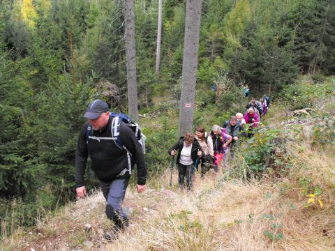 Wycieczka w Góry Bystrzyckie s93 - PTTK Strzelin