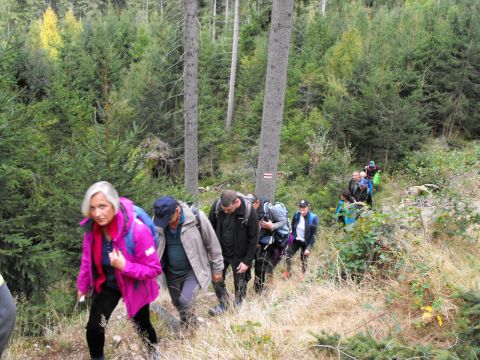Wycieczka w Góry Bystrzyckie s94 - PTTK Strzelin