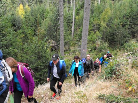 Wycieczka w Góry Bystrzyckie s95 - PTTK Strzelin