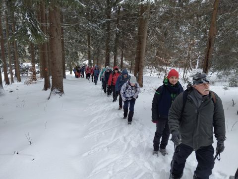 Wycieczka w Góry Bystrzyckie s22 - PTTK Strzelin