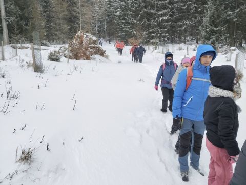Wycieczka w Góry Bystrzyckie s73 - PTTK Strzelin