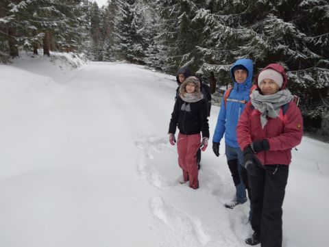 Wycieczka w Góry Bystrzyckie s74 - PTTK Strzelin