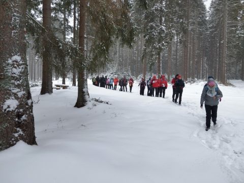 Wycieczka w Góry Bystrzyckie s77 - PTTK Strzelin