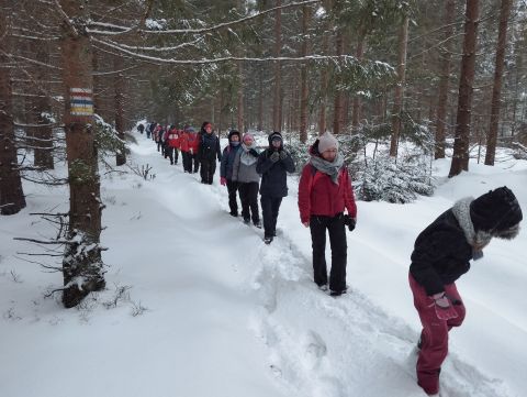 Wycieczka w Góry Bystrzyckie s78 - PTTK Strzelin