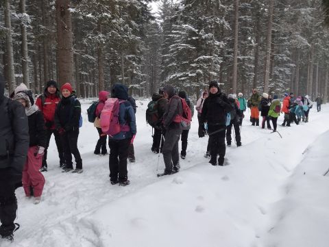 Wycieczka w Góry Bystrzyckie s81 - PTTK Strzelin