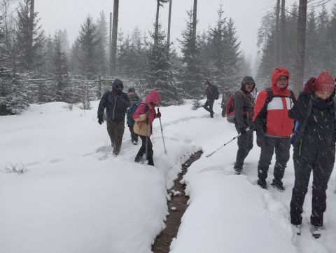 Wycieczka w Góry Bystrzyckie s87 - PTTK Strzelin
