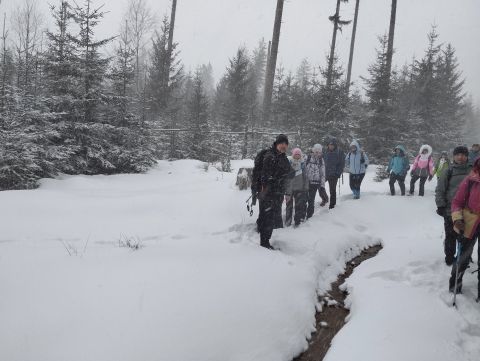 Wycieczka w Góry Bystrzyckie s88 - PTTK Strzelin