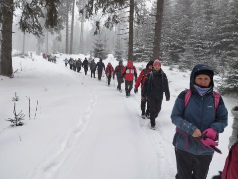 Wycieczka w Góry Bystrzyckie s89 - PTTK Strzelin