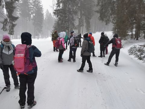 Wycieczka w Góry Bystrzyckie s90 - PTTK Strzelin