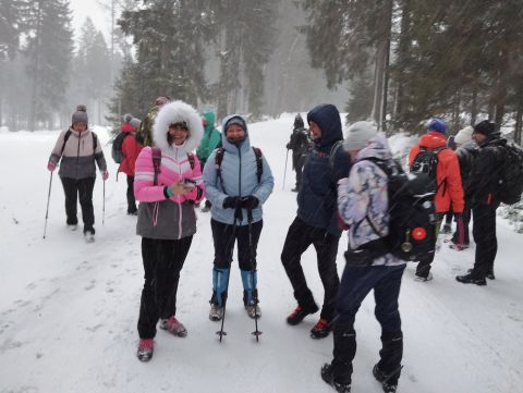 Wycieczka w Góry Bystrzyckie s93 - PTTK Strzelin