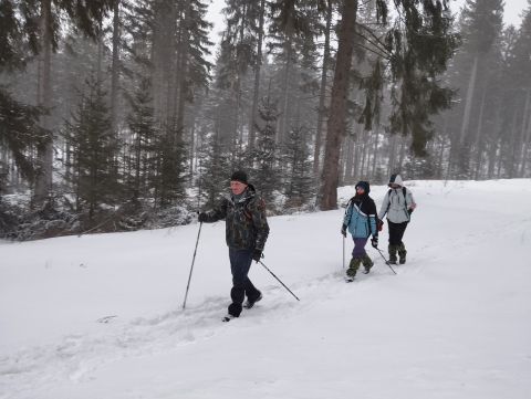 Wycieczka w Góry Bystrzyckie s97 - PTTK Strzelin
