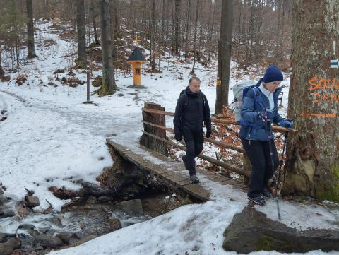 Wycieczka w Góry Bystrzyckie m41 - PTTK Strzelin