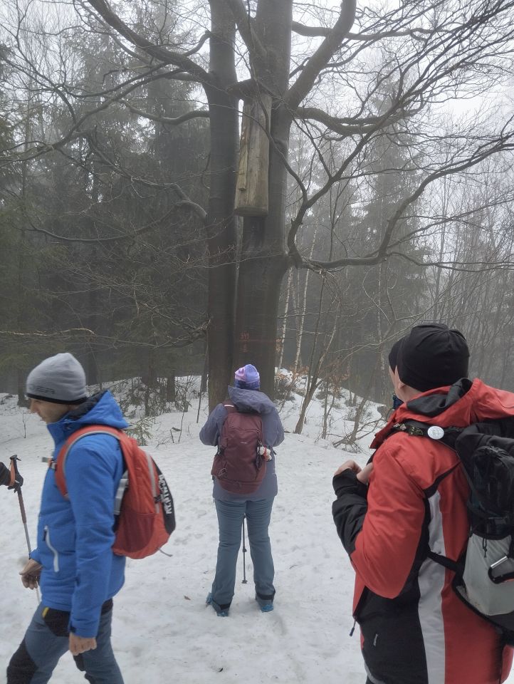 Wycieczka w Góry Bystrzyckie dz66 - PTTK Strzelin
