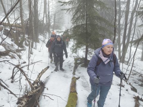 Wycieczka w Góry Bystrzyckie m72 - PTTK Strzelin