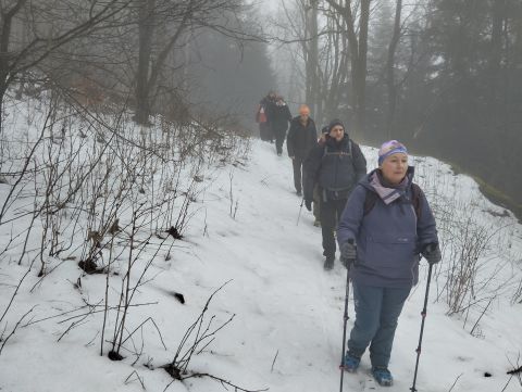 Wycieczka w Góry Bystrzyckie m73 - PTTK Strzelin