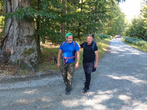 Wycieczka w Góry Bystrzyckie m7 - PTTK Strzelin