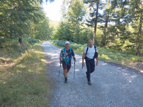Wycieczka w Góry Bystrzyckie m11 - PTTK Strzelin