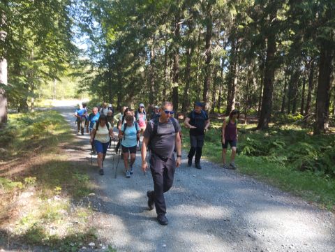Wycieczka w Góry Bystrzyckie m16 - PTTK Strzelin